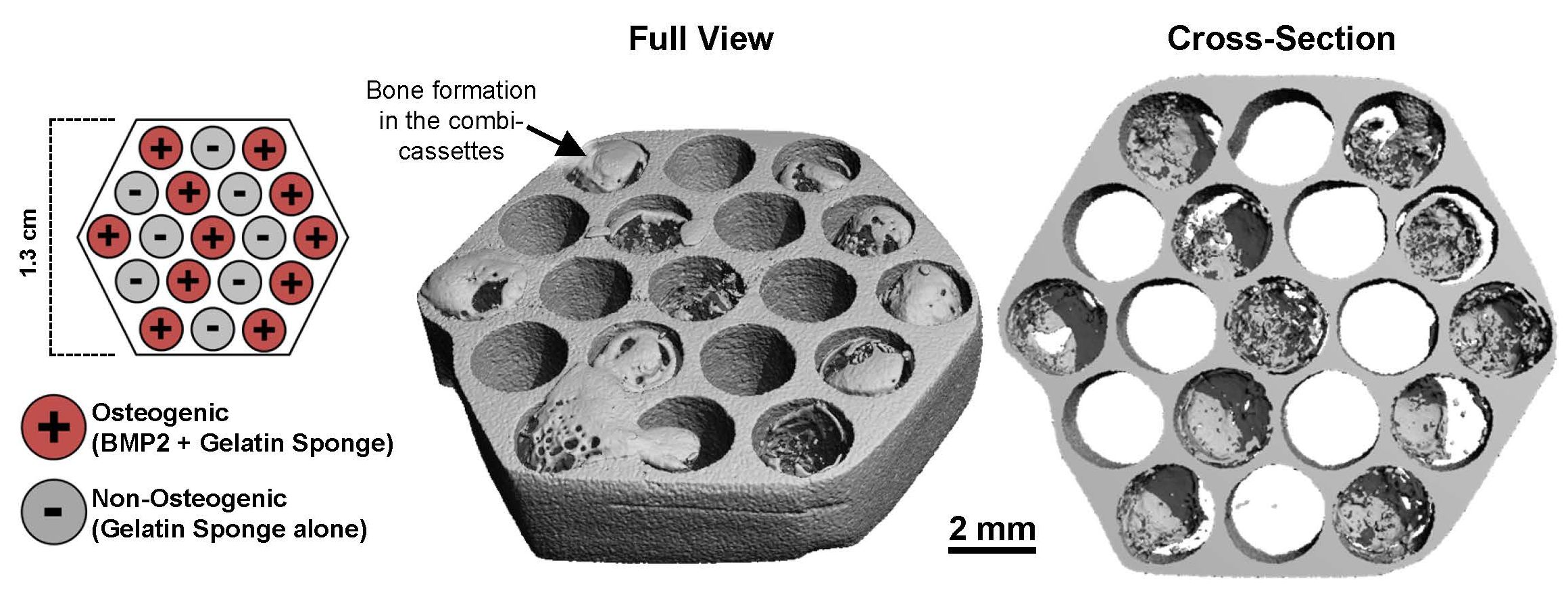 combicassette Xray uCT